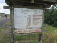 Balade Ile du Rohrschollen - 11/06/2026